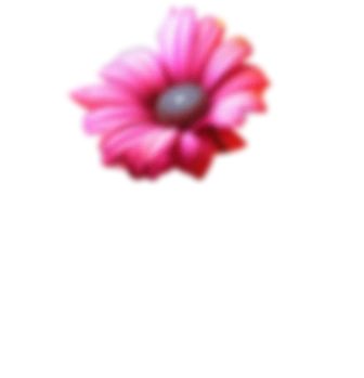 A blurred, floating pink flower in the theme of Mexican Day of the Dead.